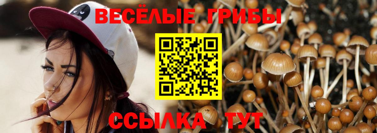 Псилоцибиновые грибы Magic Shrooms Туймазы